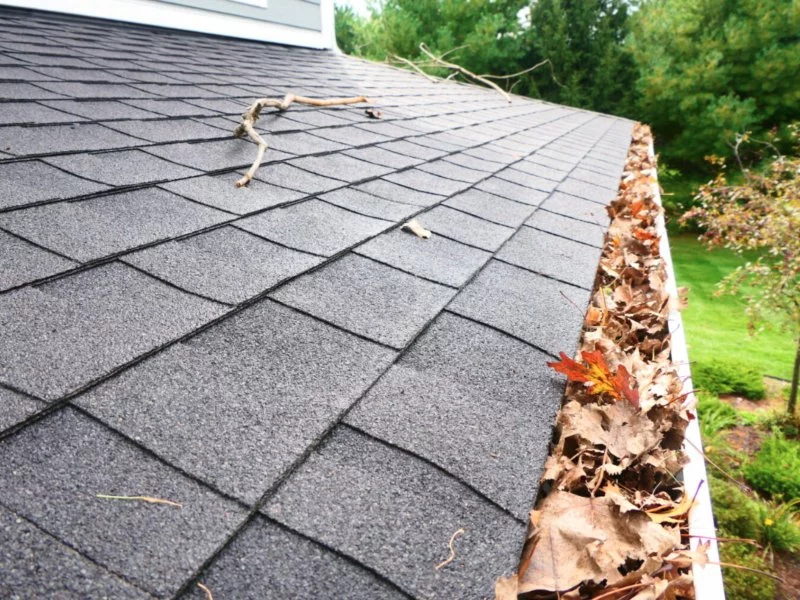 Gutter Cleaning Service Near Me Apex Nc