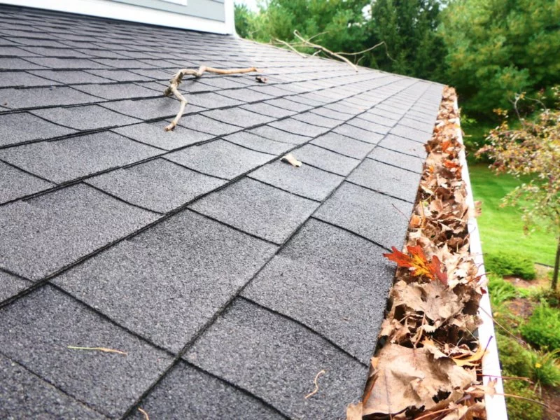 Red River Softwash, Roof Cleaning, Pressure Washing & Power Washing Gutter Cleaning Service Near Me Redwater Tx