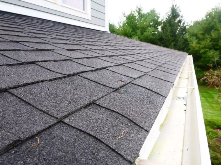 black roof and gutter with trees after gutter cleaning