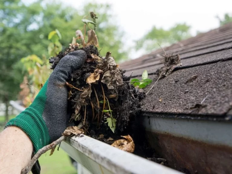 professional with green gloves cleaning gutter