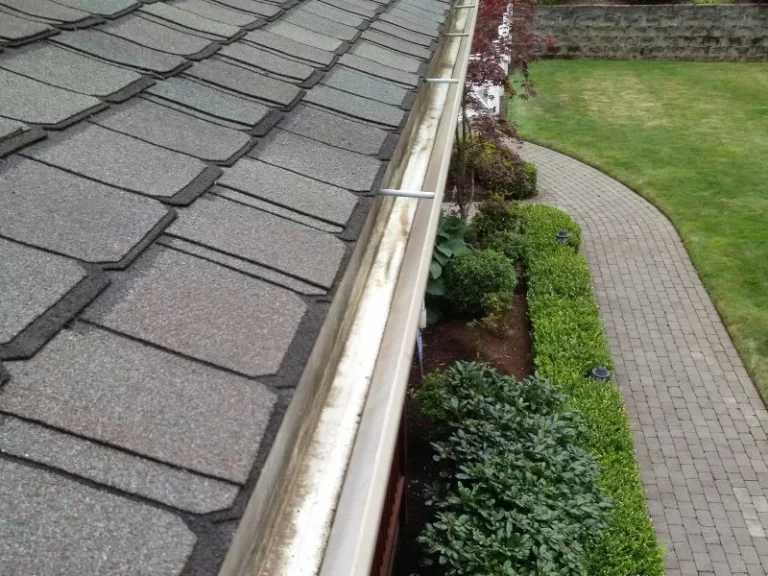 black roof and gutter after cleaning