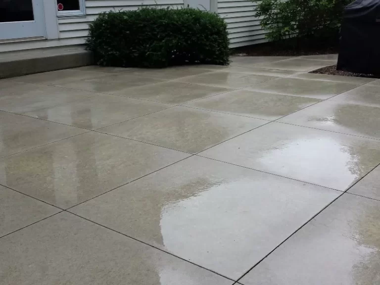 clean concrete with tree