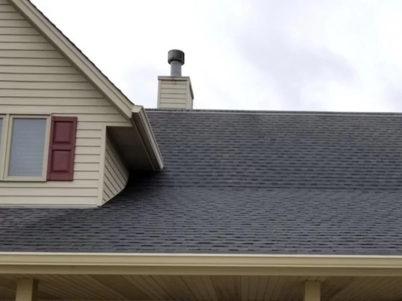 Roof Cleaning