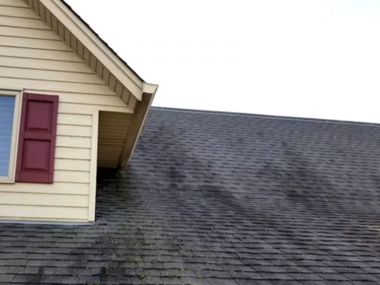 Roof Washing