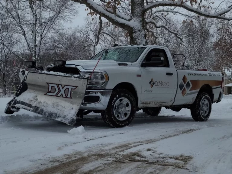 Demarks snow turck and tree