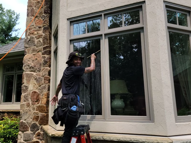 professional window cleaner