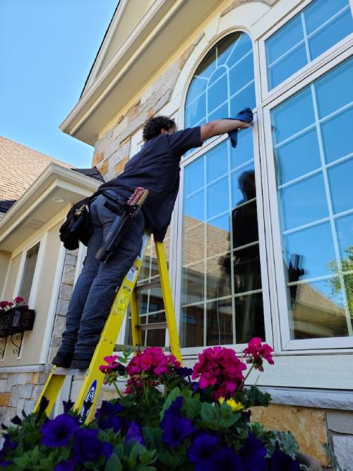 Window Cleaning 