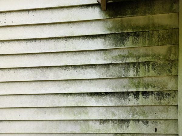 siding before siding before